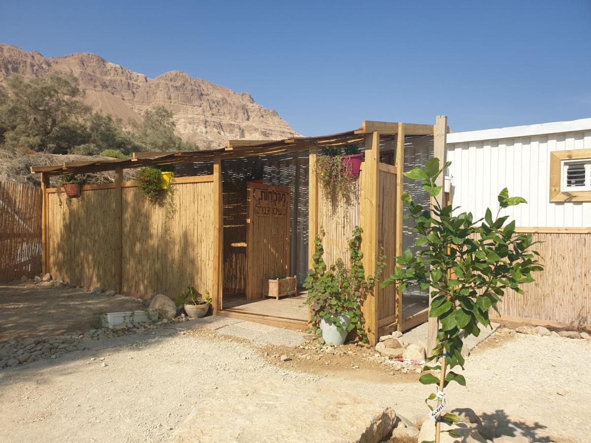 Ein Gedi Caravan By Dory Caravan Dış mekan fotoğraf