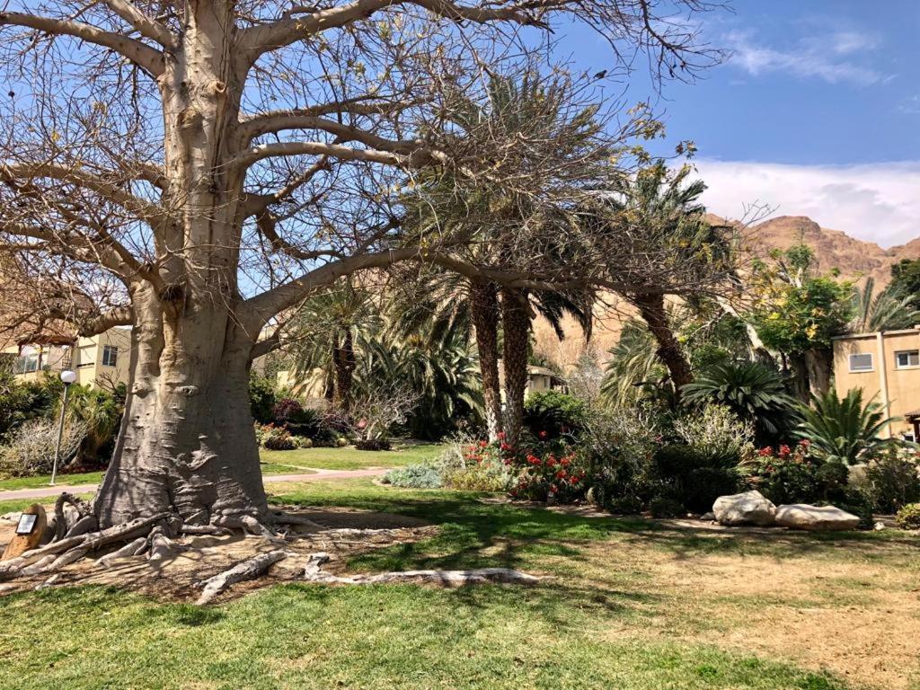 Ein Gedi Caravan By Dory Caravan Dış mekan fotoğraf