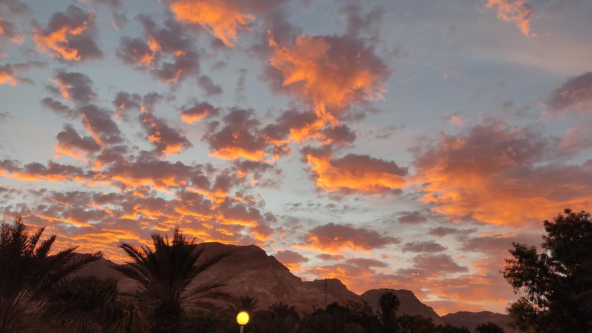 Ein Gedi Caravan By Dory Caravan Oda fotoğraf